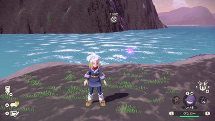 ポケモンアルセウスのともしび65場所