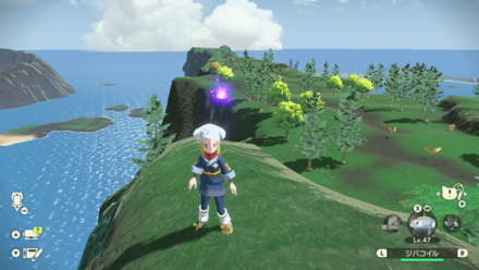 ポケモンアルセウスのともしび59場所