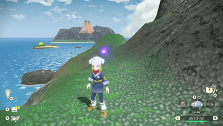 ポケモンアルセウスのともしび60場所