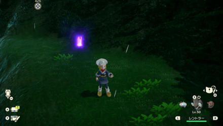 ポケモンアルセウスのともしび61場所