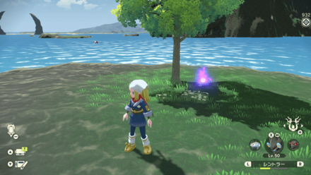 ポケモンアルセウスのともしび67場所