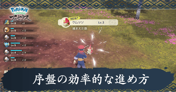 序盤の効率的な進め方