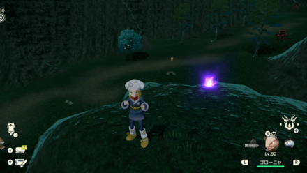 ポケモンアルセウスのともしび73場所