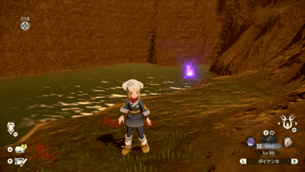 ポケモンアルセウスのともしび71場所