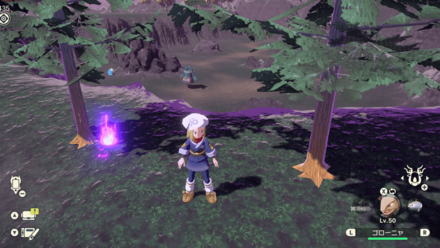 ポケモンアルセウスのともしび75場所