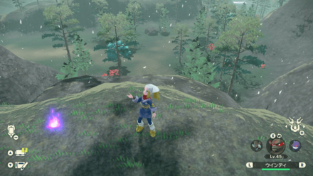 ポケモンアルセウスのともしび78場所