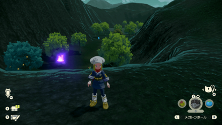 ポケモンアルセウスのともしび82場所