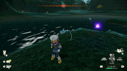 ポケモンアルセウスのともしび80場所