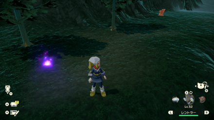 ポケモンアルセウスのともしび87場所