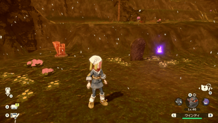 ポケモンアルセウスのともしび85場所