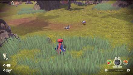 ヘビーボールで捕まえる