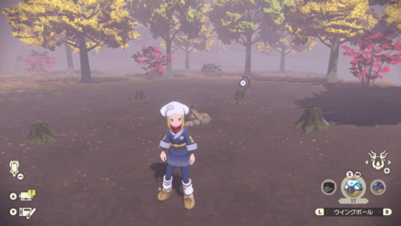 アンノーンDの場所