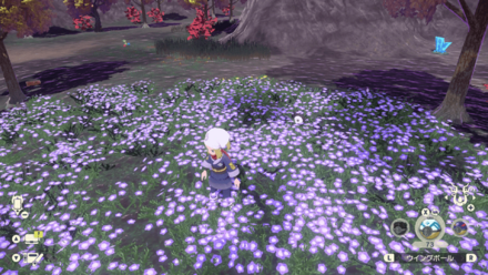 アンノーンPの場所