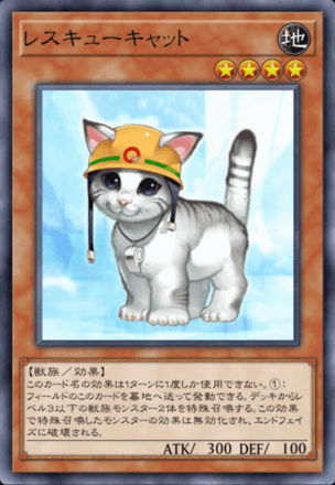 レスキューキャット画像