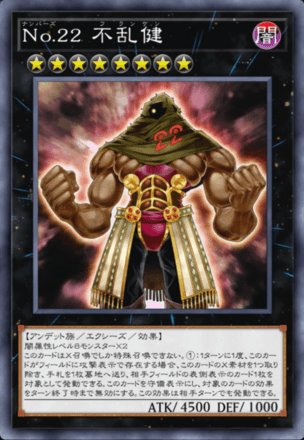 No.22 不乱健画像