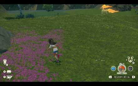 ポケモンのオヤブンの捕まえ方