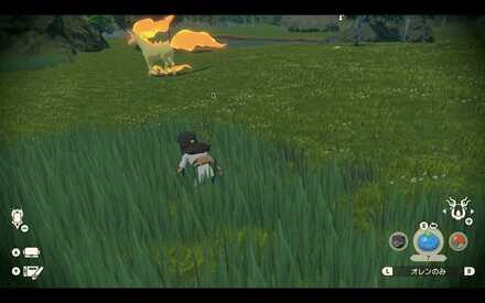 草むらなどに入り気付かれないように近づく