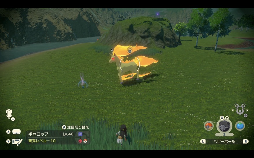 きのみや好物などで誘導する