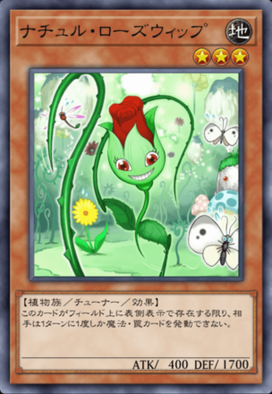 ナチュル・ローズウィップ画像