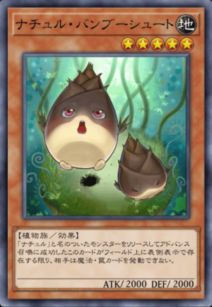 ナチュル・バンブーシュート画像