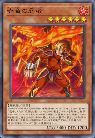 赤竜の忍者画像