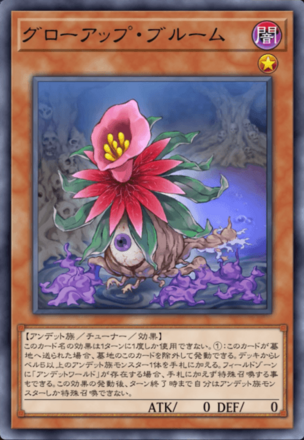 グローアップ・ブルーム画像