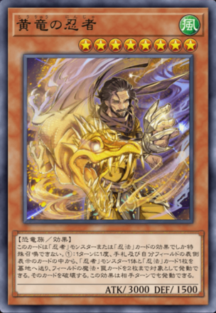 黄竜の忍者の画像