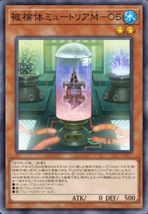 被検体ミュートリアM－０５画像