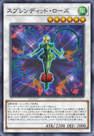 スプレンディッド・ローズ画像