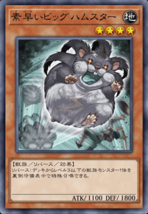 素早いビッグハムスターの画像