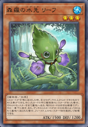 森羅の水先 リーフ画像