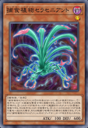 捕食植物セラセニアント画像