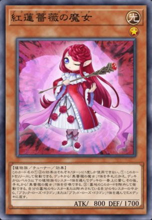 紅蓮薔薇の魔女画像