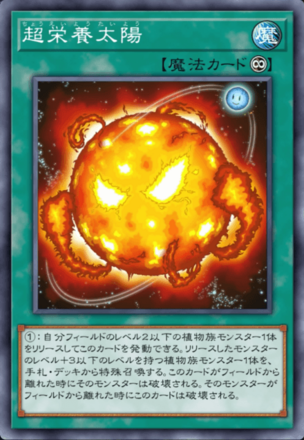 超栄養太陽画像