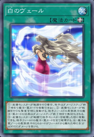 白のヴェール画像