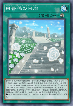 白薔薇の回廊画像