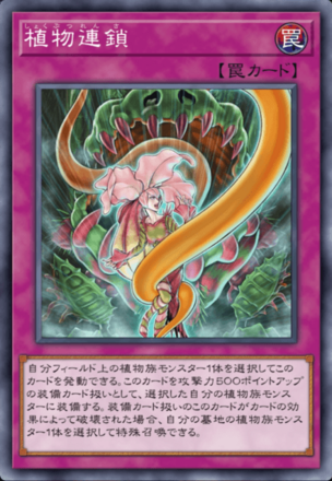 植物連鎖の画像