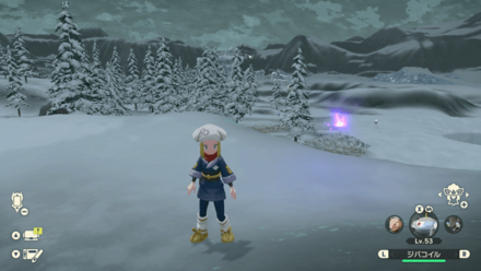 ポケモンアルセウスのともしび96場所