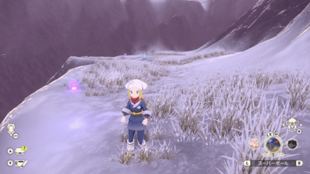 ポケモンアルセウスのともしび94場所