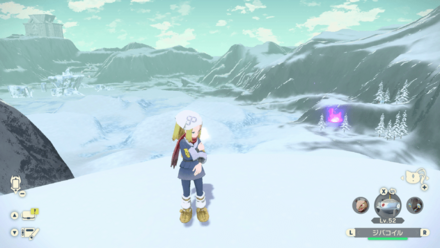 ポケモンアルセウスのともしび89場所