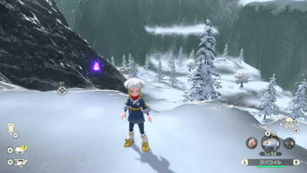 ポケモンアルセウスのともしび88場所