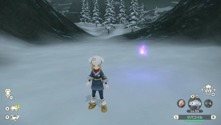 ポケモンアルセウスのともしび95場所