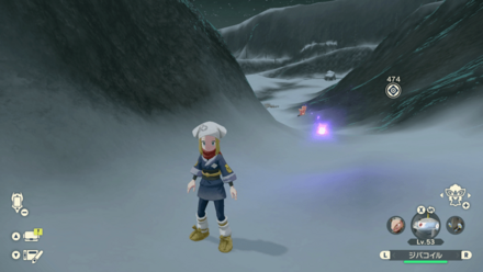 ポケモンアルセウスのともしび93場所