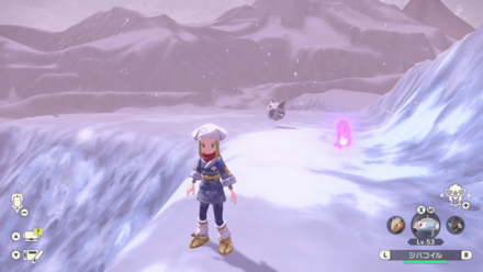 ポケモンアルセウスのともしび97場所