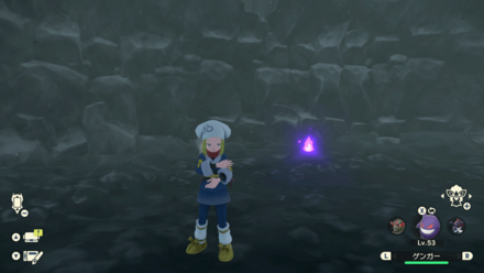 ポケモンアルセウスのともしび103場所