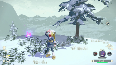 ポケモンアルセウスのともしび102場所