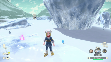 ポケモンアルセウスのともしび101場所