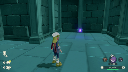 ポケモンアルセウスのともしび107場所