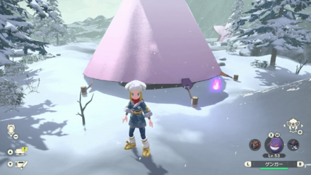 ポケモンアルセウスのともしび105場所