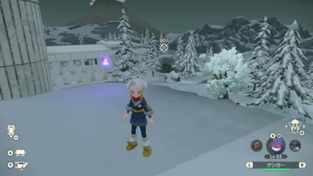 ポケモンアルセウスのともしび106場所